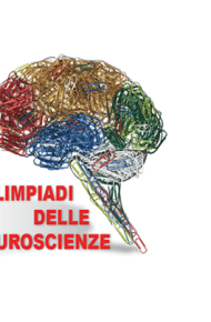 Olimpiadi delle Neuroscienze – Il Liceo Pacinotti accede alla Fase Nazionale