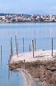 Visita all’Ecosistema Filtro. Parco Naturale Regionale Molentargius