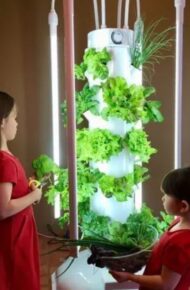 Tower Garden al Pacinotti